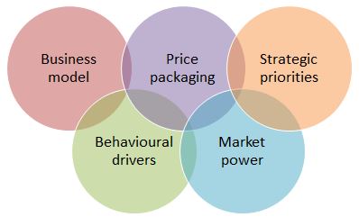 Price Drivers Strategyaudit